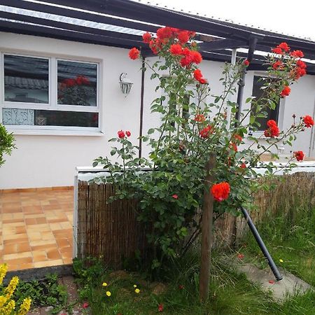 Bungalow Usedom Koserow エクステリア 写真