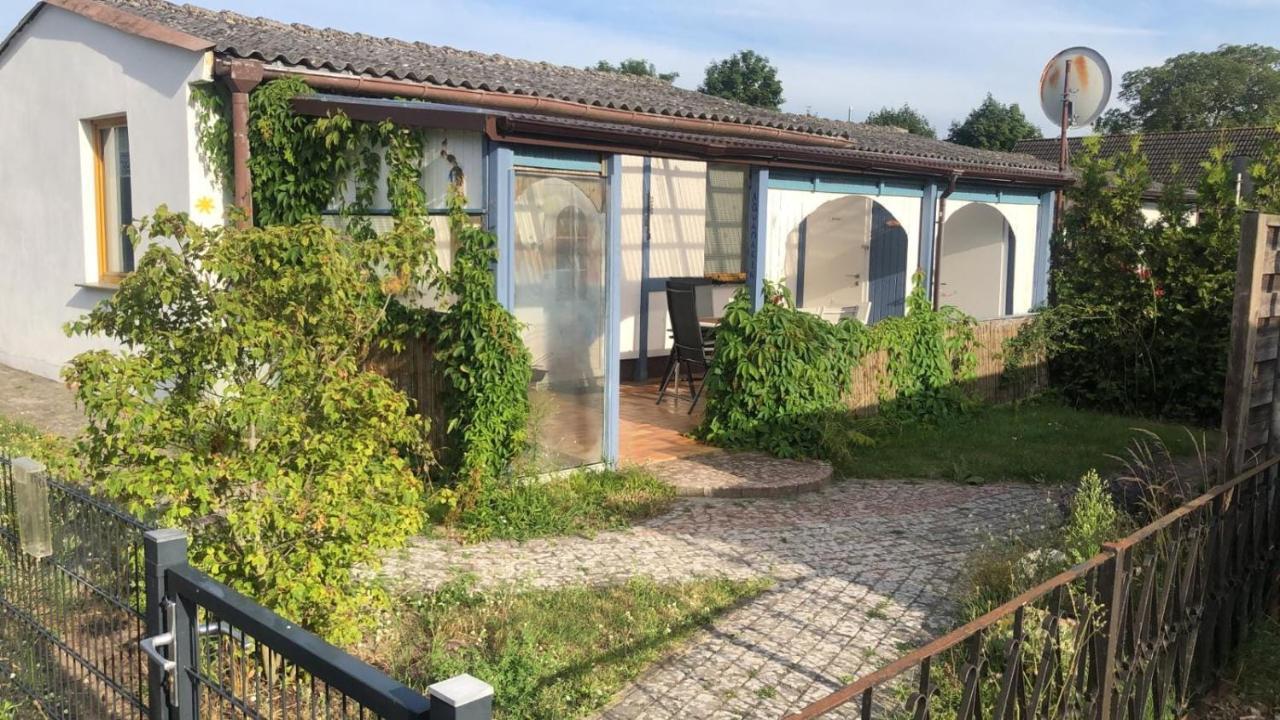 Bungalow Usedom Koserow エクステリア 写真