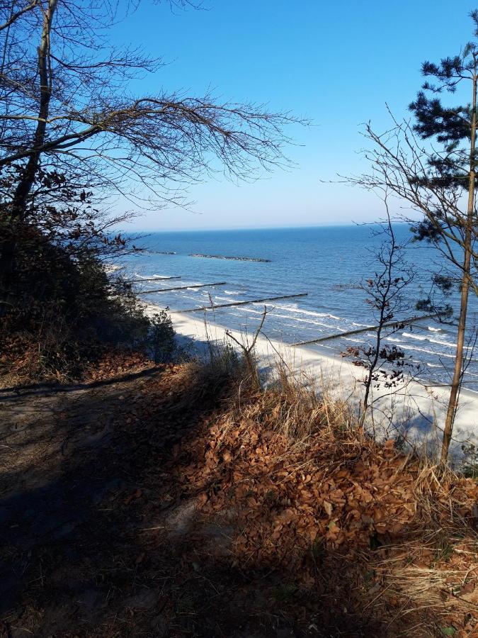 Bungalow Usedom Koserow エクステリア 写真